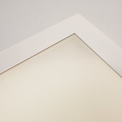 Panneau LED 30x120cm - 4500 lumens - 25W - Blanc froid 4000K - UGR<19 - Sans scintillement - Encastrable - Garantie de 5 ans