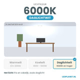 Lichtkleur daglichtwit 6000K van de LED Spot GU10 3W