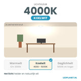 Lichtkleur koelwit 4000K van de LED Spot GU10 3W