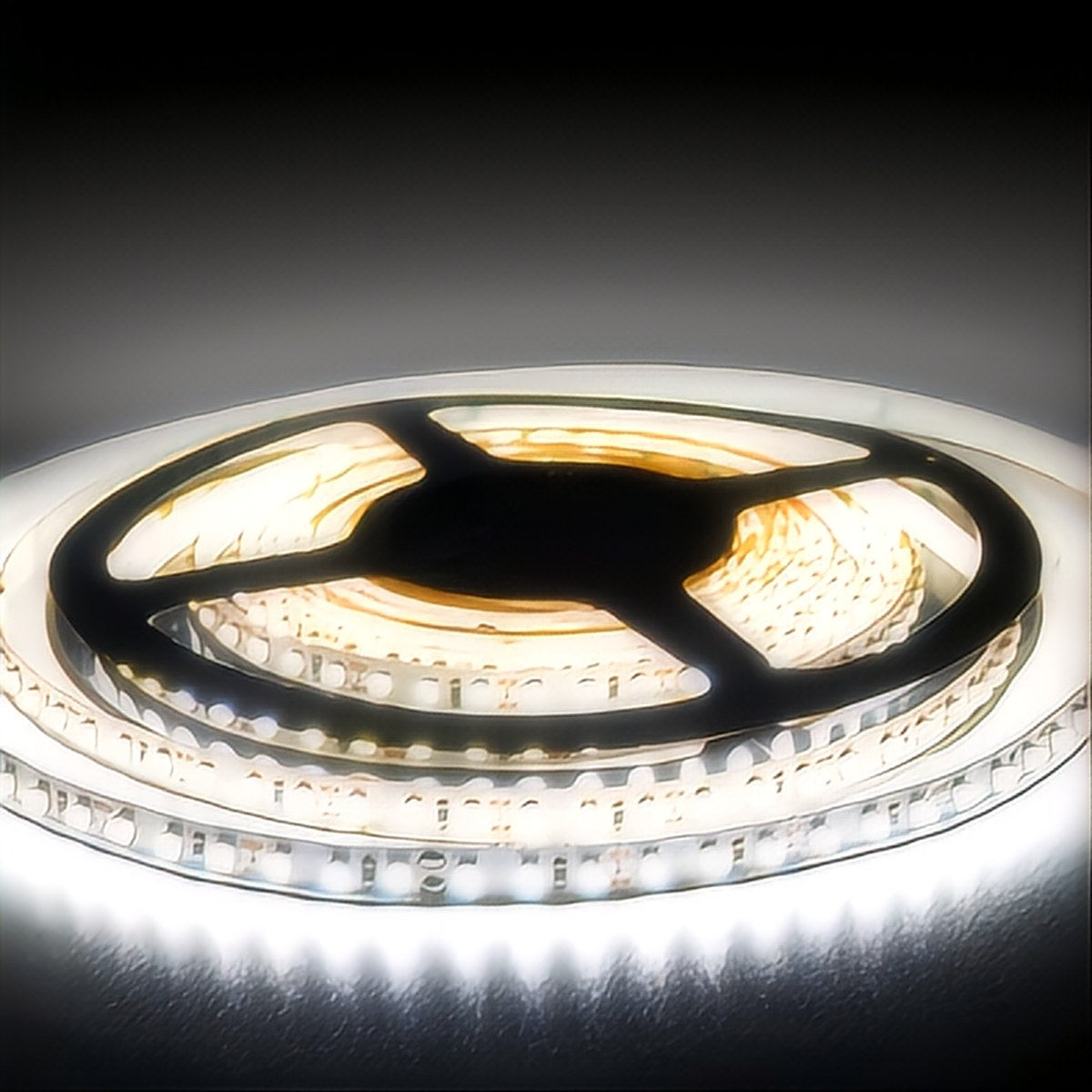Ruban LED allumé, blanc lumière du jour 6500K