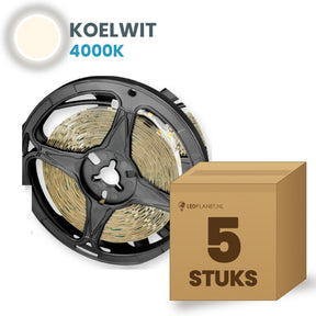 Doos met 5 rollen LED strip, koelwit 4000K