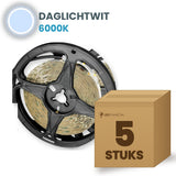 Doos met 5 rollen LED strip, daglichtwit 6000K