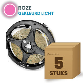 Doos met 5 rollen LED strip, roze