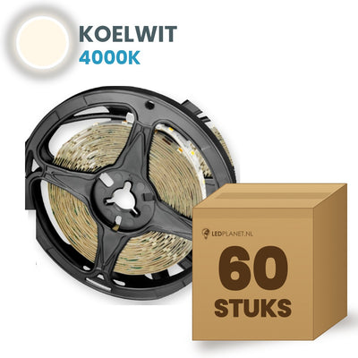 Doos met 60 rollen LED strip, koelwit 4000K