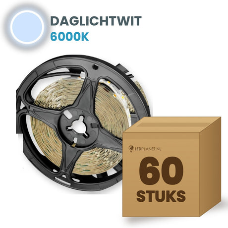 Doos met 60 rollen LED strip, daglichtwit 6000K