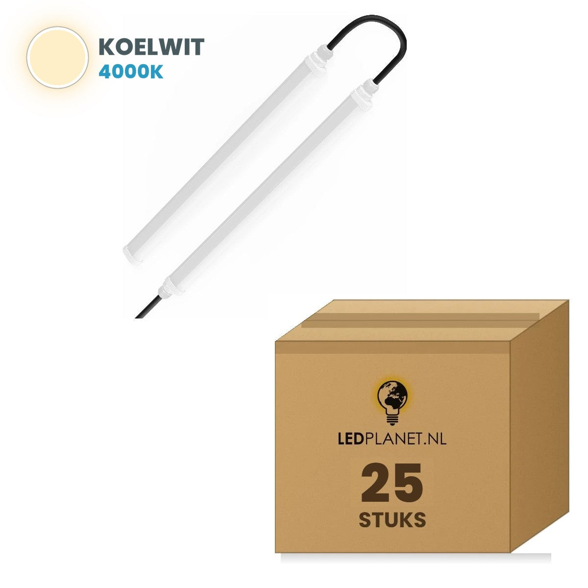 Carton de 25 pièces, couleur de lumière blanc neutre 4000K