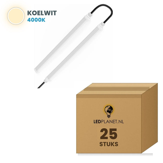 Carton de 25 pièces, couleur de lumière blanc neutre 4000K