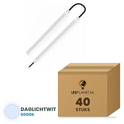 Doos met 40 stuks, lichtkleur daglichtwit 6000K