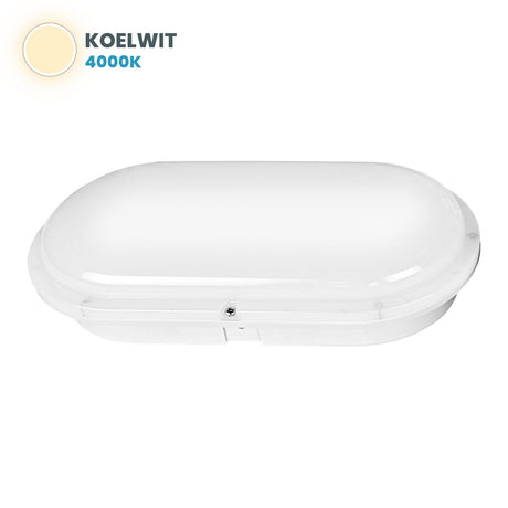 LED bulkhead ovaal 212x113 mm, lichtkleur koelwit 4000K