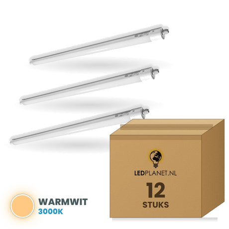 Doos met 12 stuks, lichtkleur warmwit 3000K