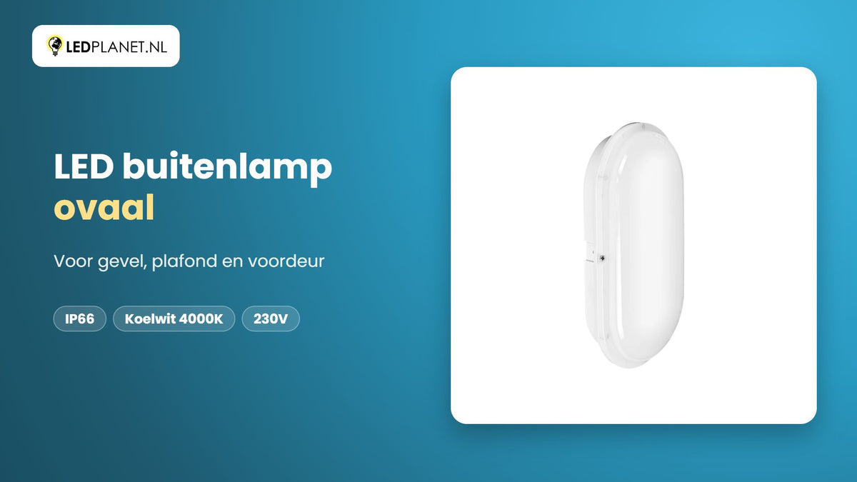 Video LED bulkhead buitenlamp ovaal 15W, 1.650 lumen, koelwit 4000K, IP66