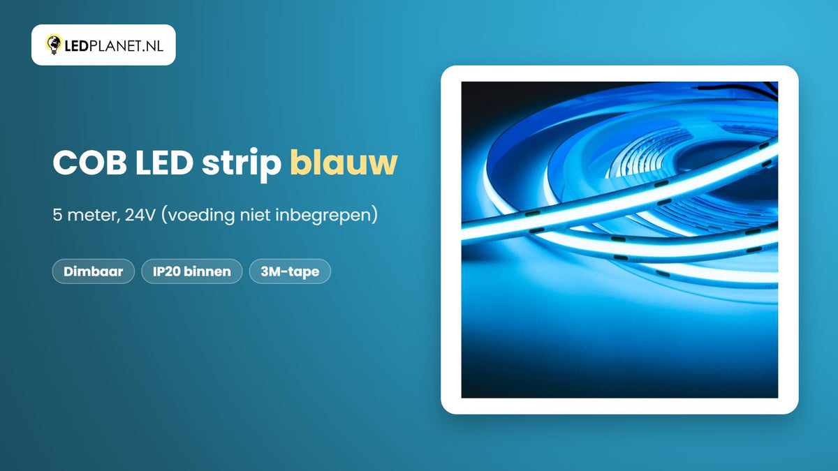 Video COB LED strip blauw, 24V, 800 lm/m, 5 meter, dimbaar