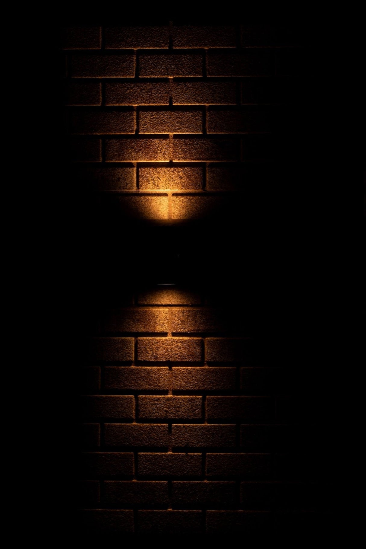 Spot mural extérieur LED - 2 douilles GU10 - Éclairage haut et bas - IP44 - Acier inoxydable - Argent