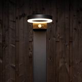 LED Solar Lantaarnpaal 600 Lumen - Bewegingssensor - 3 Standen - RVS - Zwart