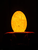 Special edition LED lamp in de vorm van een ei, warm oranje licht, modern design