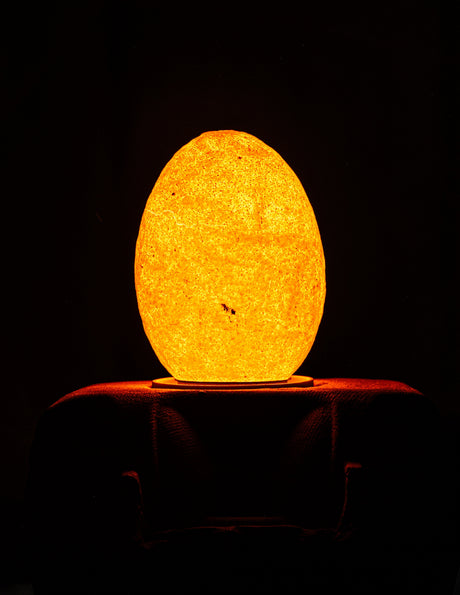 Special edition LED lamp in de vorm van een ei, warm oranje licht, modern design
