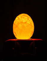 Special edition LED lamp in ovale vorm met warme oranje gloed voor sfeervolle verlichting