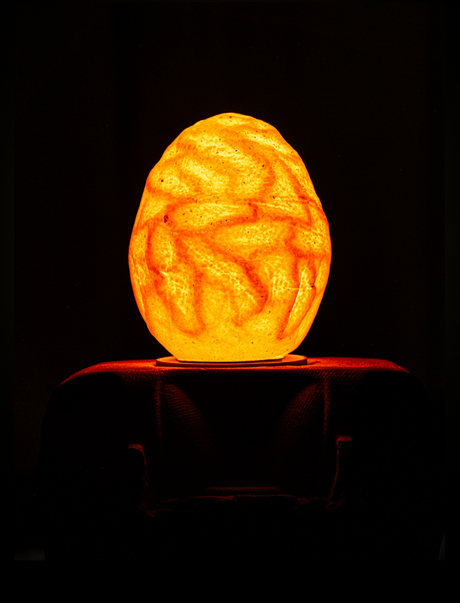 Egglamp special edition LED lamp met warm oranje licht en uniek eivormig ontwerp
