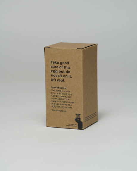 Special edition LED lamp in verpakking, duurzaam karton, instructies voor gebruik en zorg
