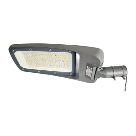 1× 200W straatlamp + mastadapter