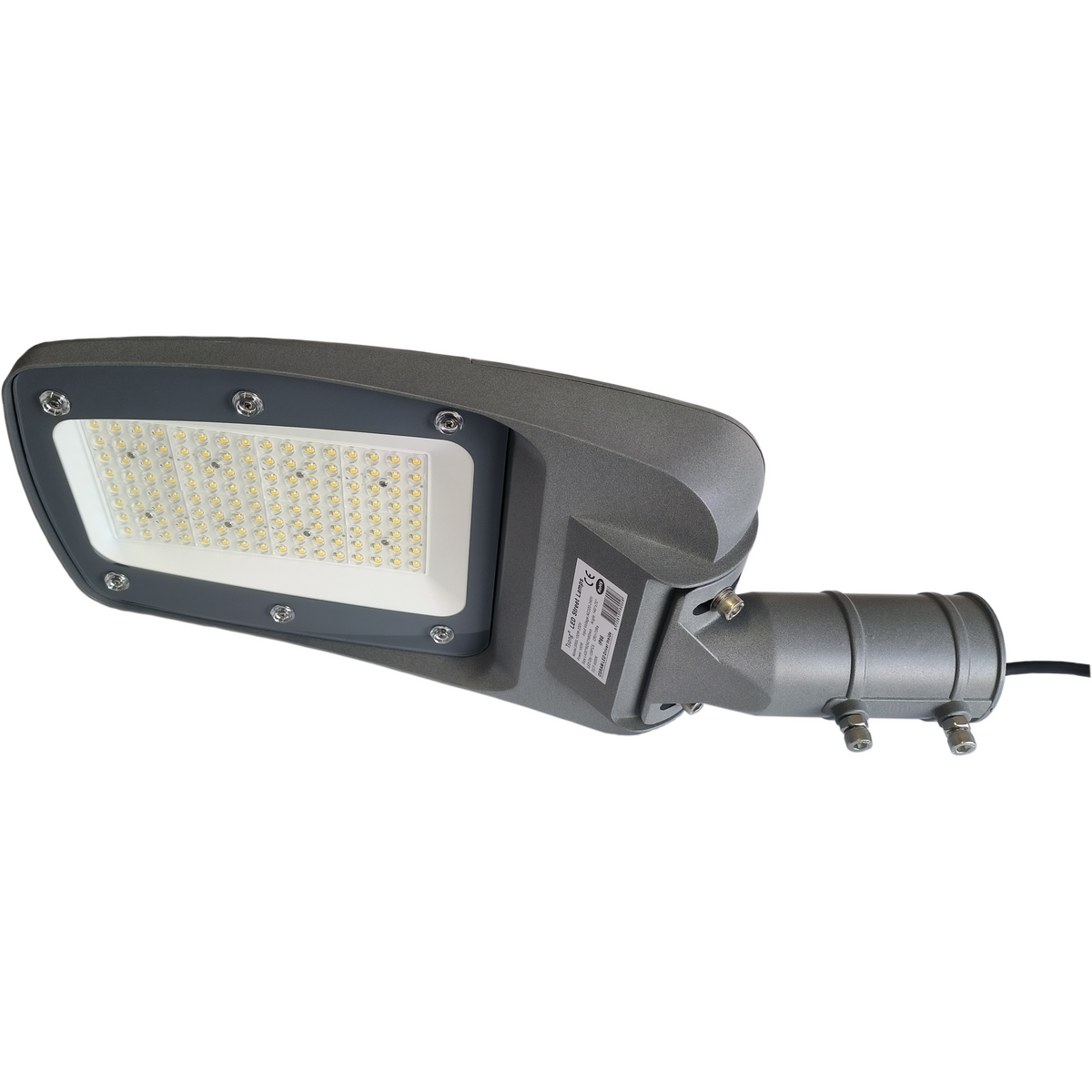 2× 100W straatlamp + 2 mastadapters - lichtkleur