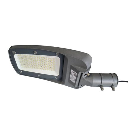 2× 100W straatlamp + 2 mastadapters - lichtkleur