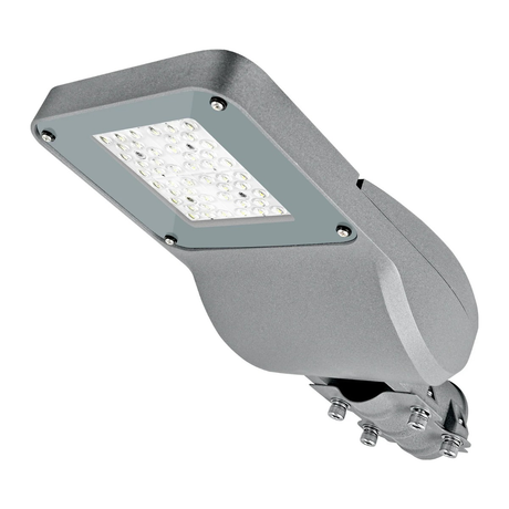 2× 30W 3000K straatlamp + 2 mastadapters