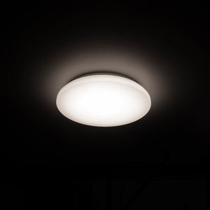 LED Plafondlamp 900 lumen - 12W - Koelwit 4000K - Ø 27cm - IP44 Spatwaterdicht - Badkamer