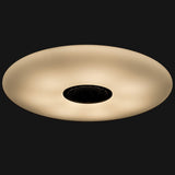 VoiceControl LED Plafondlamp 50 cm met Google Nest & Amazon Echo Dot houder - Bedienbaar met App