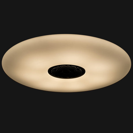 Plafonnier LED VoiceControl de 50 cm avec support pour Google Nest et Amazon Echo Dot – Contrôlable via une application