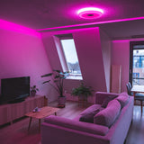 VoiceControl LED Plafondlamp 50 cm met Google Nest & Amazon Echo Dot houder - Bedienbaar met App