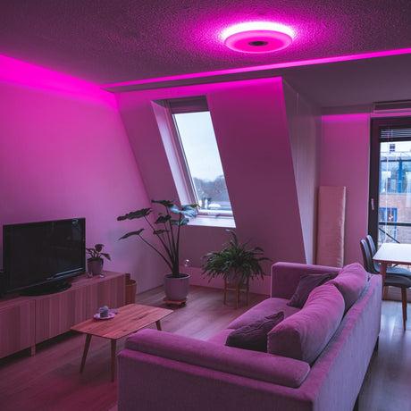 Plafonnier LED VoiceControl de 50 cm avec support pour Google Nest et Amazon Echo Dot – Contrôlable via une application
