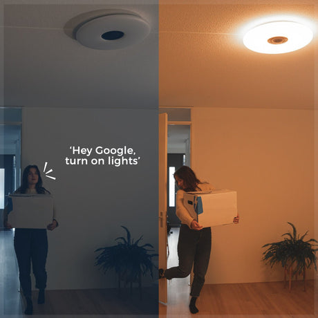 Plafonnier LED VoiceControl de 50 cm avec support pour Google Nest et Amazon Echo Dot – Contrôlable via une application
